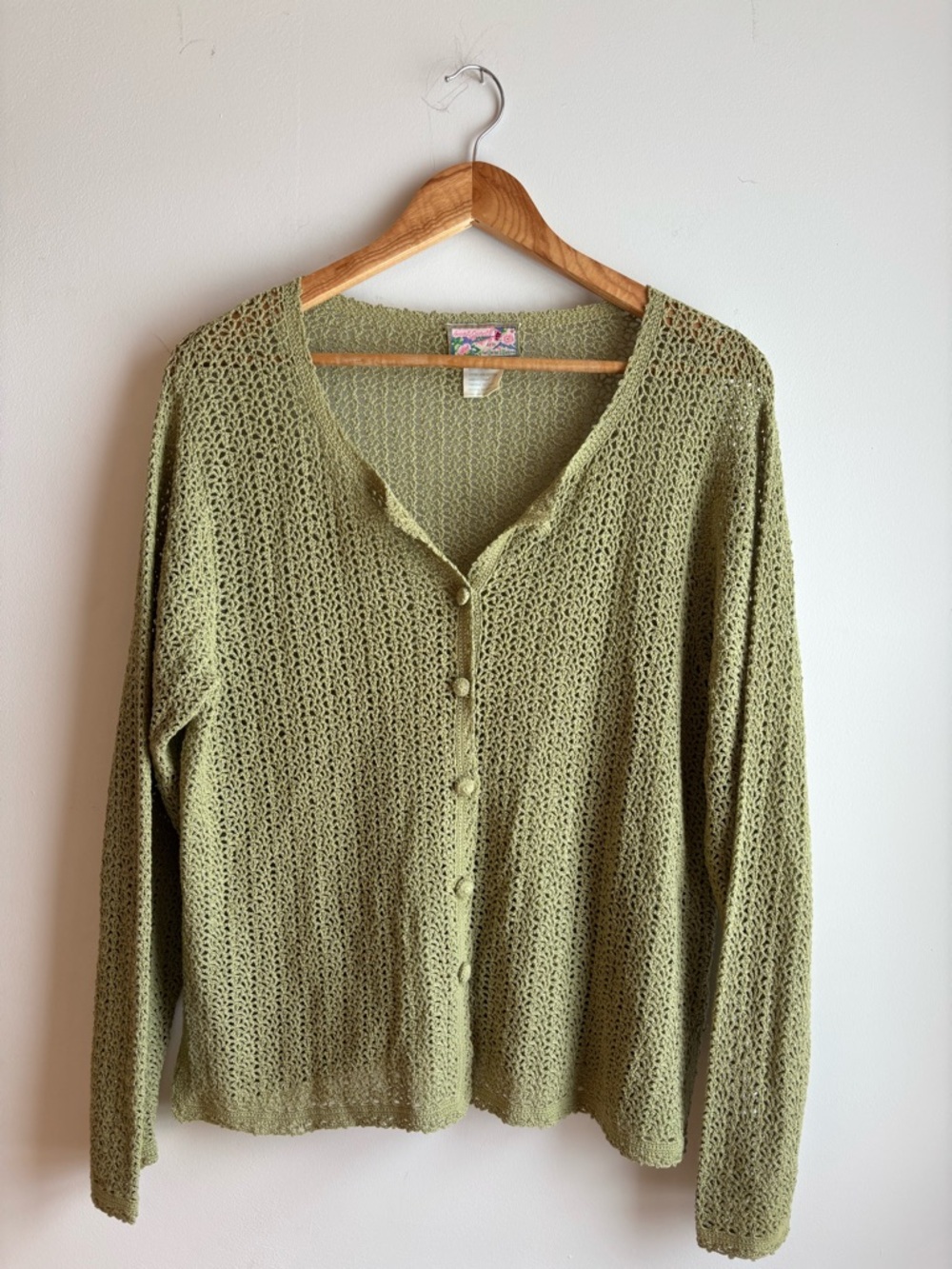 Light Green Crochet Button-Up Cardigan